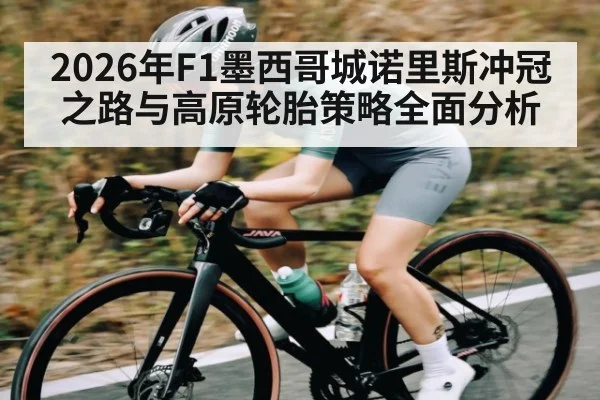 2026年F1墨西哥城诺里斯冲冠之路与高原轮胎策略全面分析